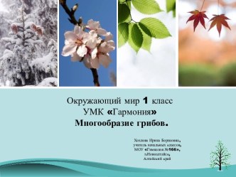 Многообразие грибов 1 класс