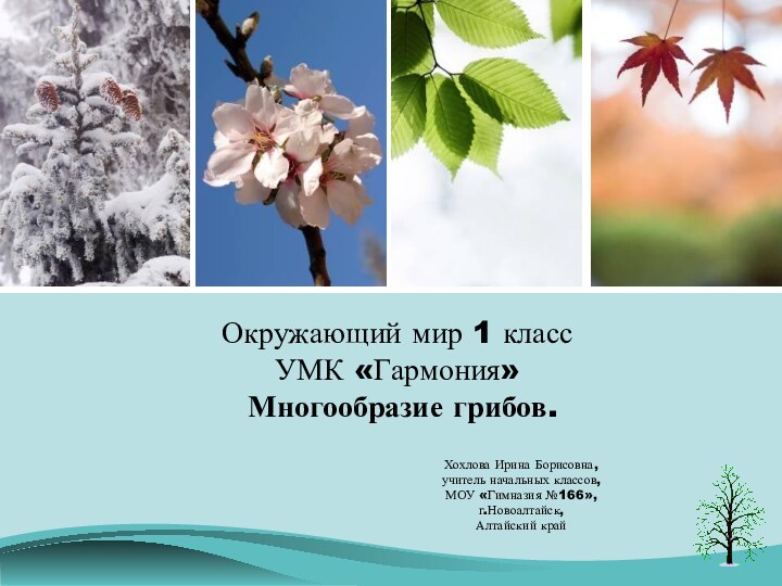 Окружающий мир 1 класс УМК «Гармония»  Многообразие грибов.Хохлова Ирина Борисовна,учитель начальных