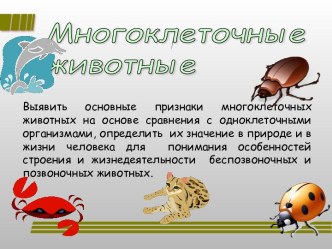 Многоклеточные животные