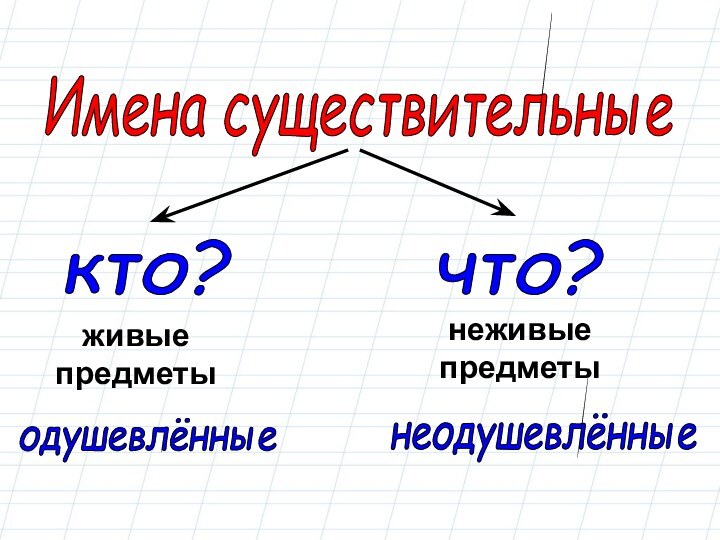 что? кто? неживыепредметыживыепредметынеодушевлённые одушевлённые Имена существительные