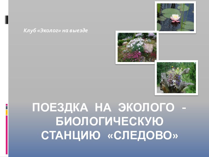 ПОЕЗДКА НА ЭКОЛОГО - БИОЛОГИЧЕСКУЮ СТАНЦИЮ «СЛЕДОВО»Клуб «Эколог» на выезде