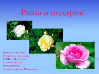 Розы в подарок