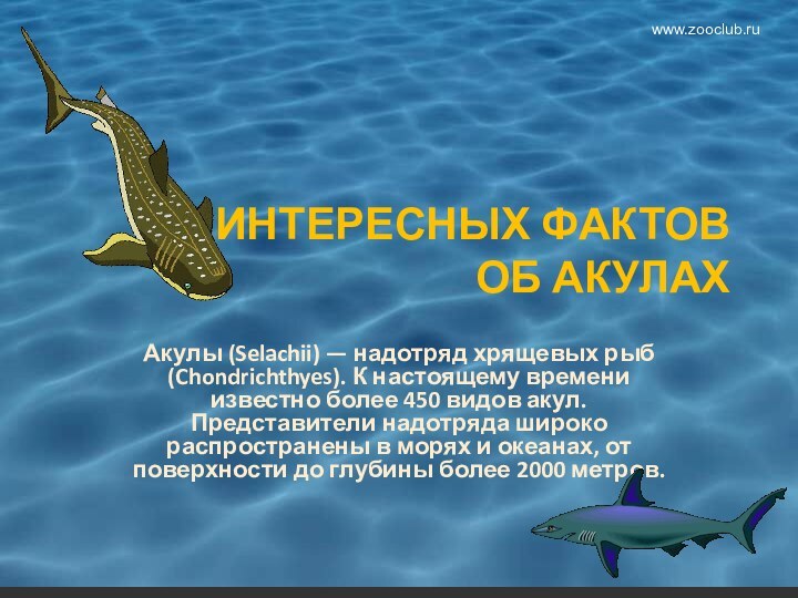 35 ИНТЕРЕСНЫХ ФАКТОВ  ОБ АКУЛАХАкулы (Selachii) — надотряд хрящевых рыб (Chondrichthyes).