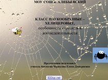 Класс паукообразные по биологии