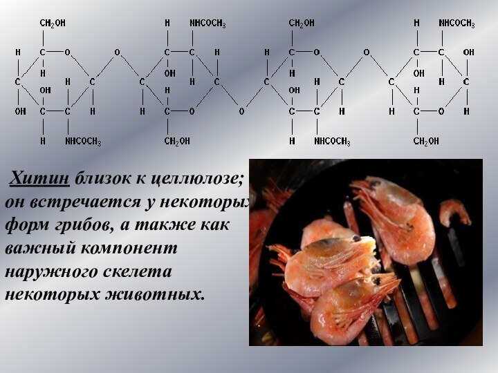 Хитин близок к целлюлозе; он встречается у некоторых форм грибов, а