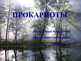 Прокариоты