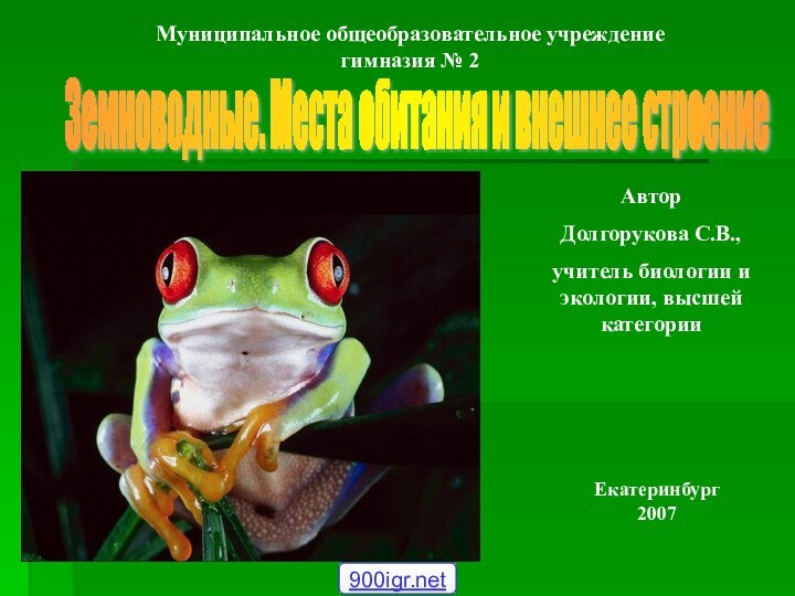 Земноводные. Места обитания и внешнее строение АвторДолгорукова С.В.,учитель биологии и экологии, высшей