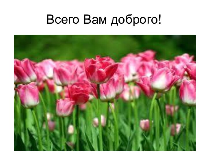 Всего Вам доброго!