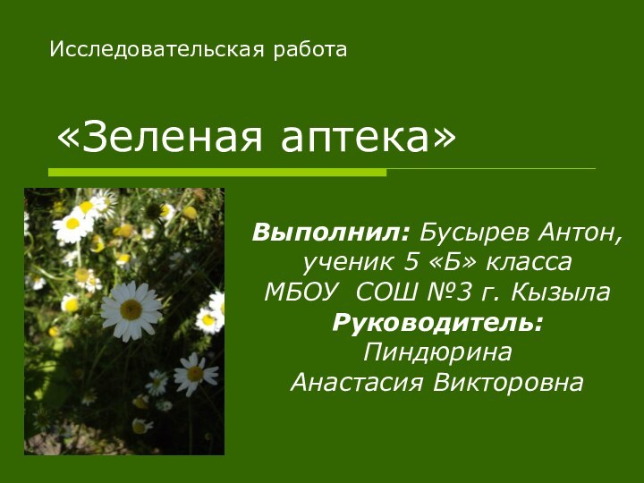 Исследовательская работа«Зеленая аптека»Выполнил: Бусырев Антон,ученик 5 «Б» классаМБОУ СОШ №3 г. КызылаРуководитель:Пиндюрина Анастасия Викторовна