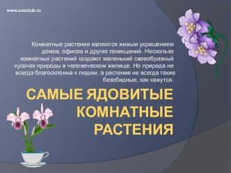 Самые ядовитые комнатные растения