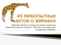 45 любопытных фактов о жирафах