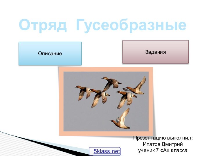 ОписаниеЗаданияОтряд ГусеобразныеПрезентацию выполнил:Ипатов Дмитрий ученик 7 «А» класса