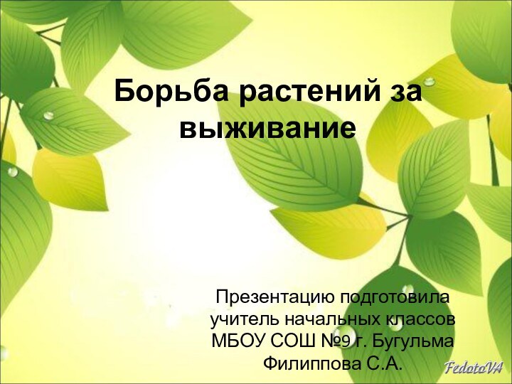 Борьба растений за выживаниеПрезентацию подготовила учитель начальных классовМБОУ СОШ №9 г. БугульмаФилиппова С.А.