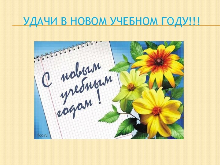 Удачи в новом учебном году!!!