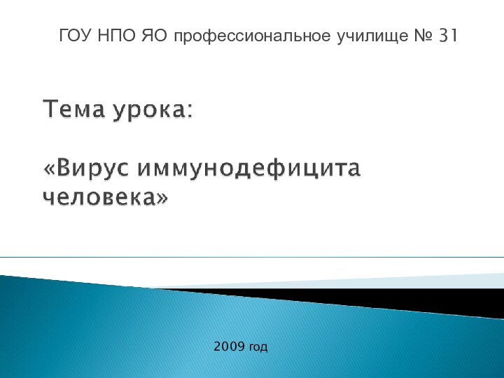 ГОУ НПО ЯО профессиональное училище № 312009 год