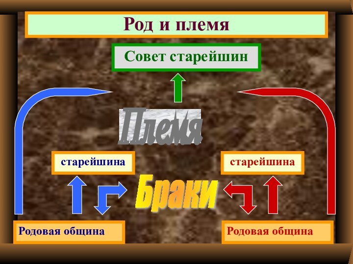 Род и племяРодовая общинаРодовая община