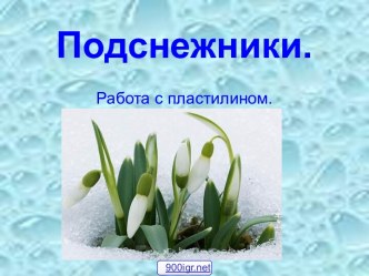 Цветы из пластилина