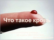 что такое кровь