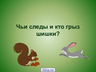 Следы