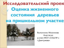 Оценка жизненного состояния деревьев на пришкольном участке