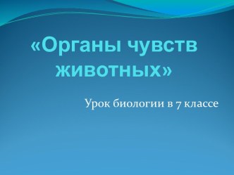 Органы чувств животных