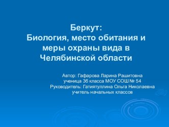 Беркут: Биология, место обитания и меры охраны вида в Челябинской области