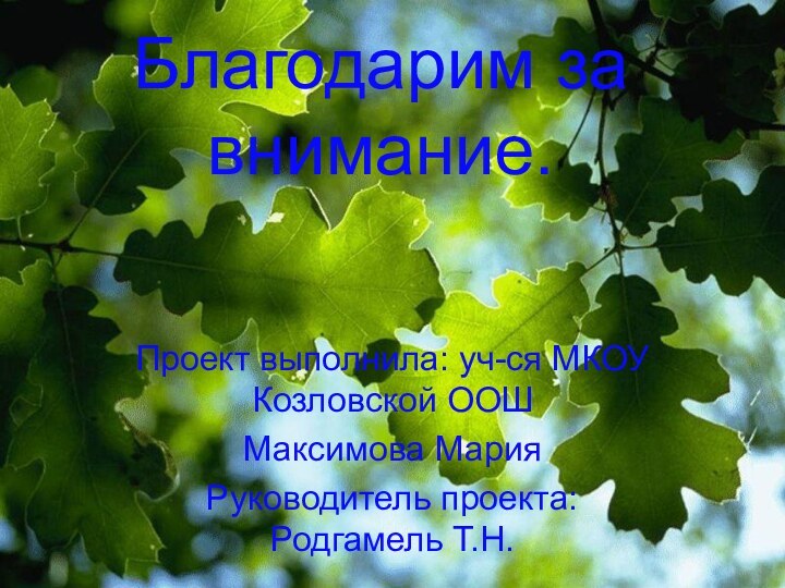 Благодарим за внимание.Проект выполнила: уч-ся МКОУ Козловской ООШМаксимова МарияРуководитель проекта: Родгамель Т.Н.