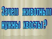 Зачем животным нужны хвосты ?