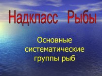 Надкласс Рыбы. Основные систематические группы рыб