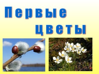 Урок первоцветы