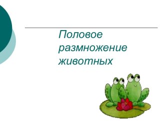 Половое размножение животных