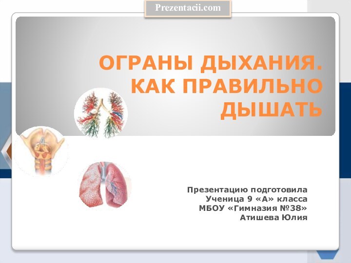 Презентацию подготовилаУченица 9 «А» классаМБОУ «Гимназия №38»Атишева ЮлияPrezentacii.comОГРАНЫ ДЫХАНИЯ. КАК ПРАВИЛЬНО ДЫШАТЬ