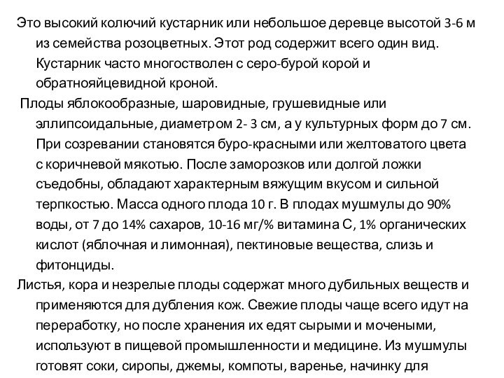 Это высокий колючий кустарник или небольшое деревце высотой 3-6 м из семейства