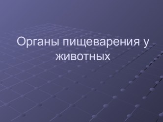 Органы пищеварения у животных