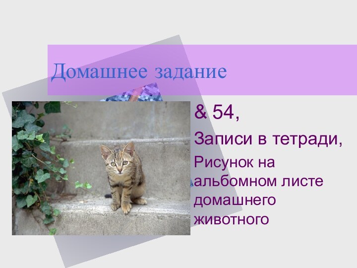 Домашнее задание& 54, Записи в тетради,Рисунок на альбомном листе домашнего животного