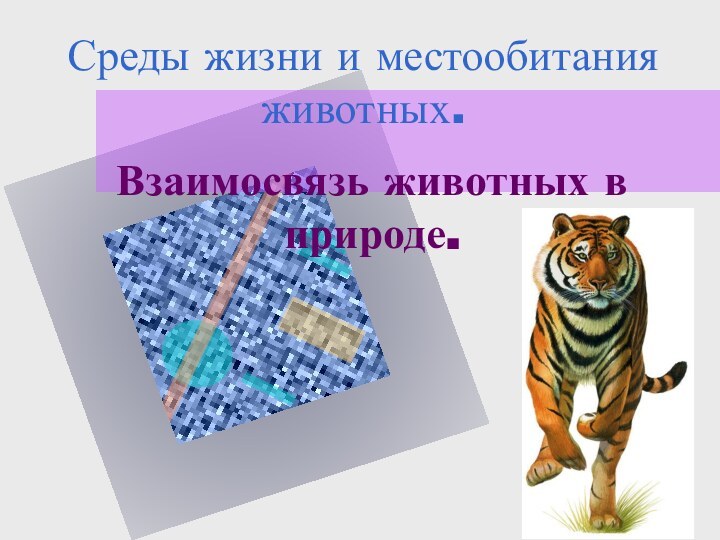 Среды жизни и местообитания животных.Взаимосвязь животных в природе.