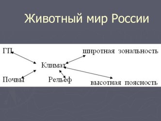 Животный мир России