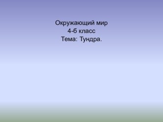 Мир тундры