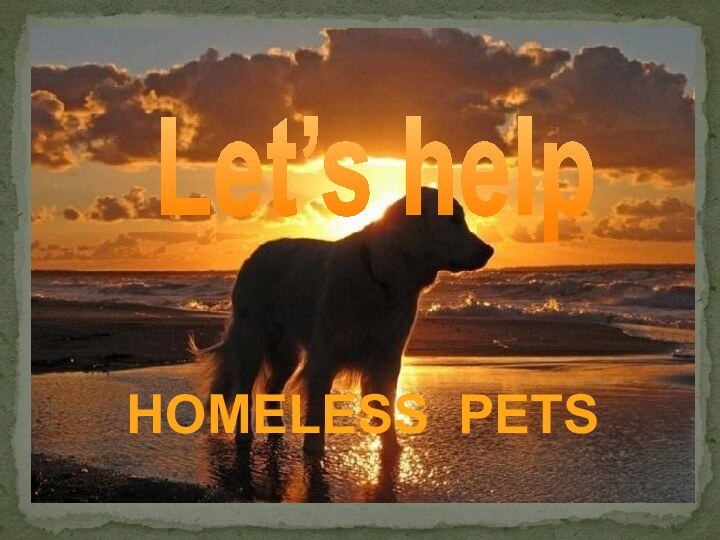 Let’s help HOMELESS PETS