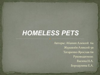 Homeless Pets