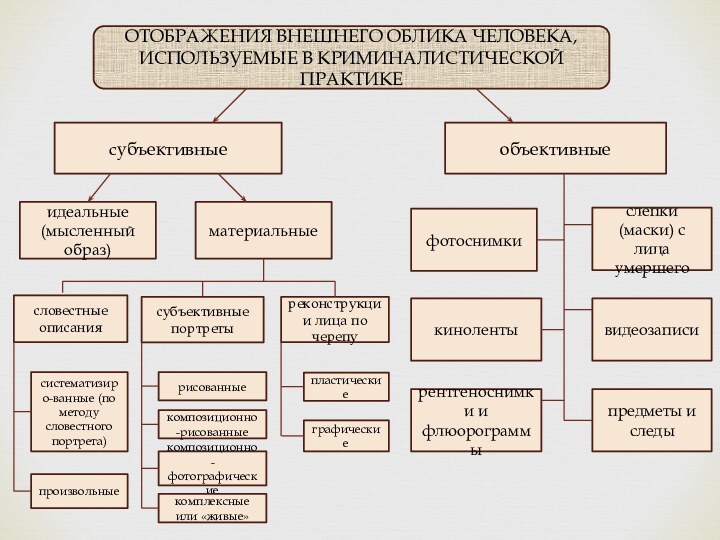 ОТОБРАЖЕНИЯ ВНЕШНЕГО ОБЛИКА ЧЕЛОВЕКА, ИСПОЛЬЗУЕМЫЕ В КРИМИНАЛИСТИЧЕСКОЙ ПРАКТИКЕ субъективныеобъективныефотоснимкикинолентырентгеноснимки и флюорограммыслепки (маски)