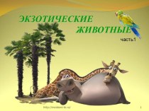 Экзотические животные часть 1