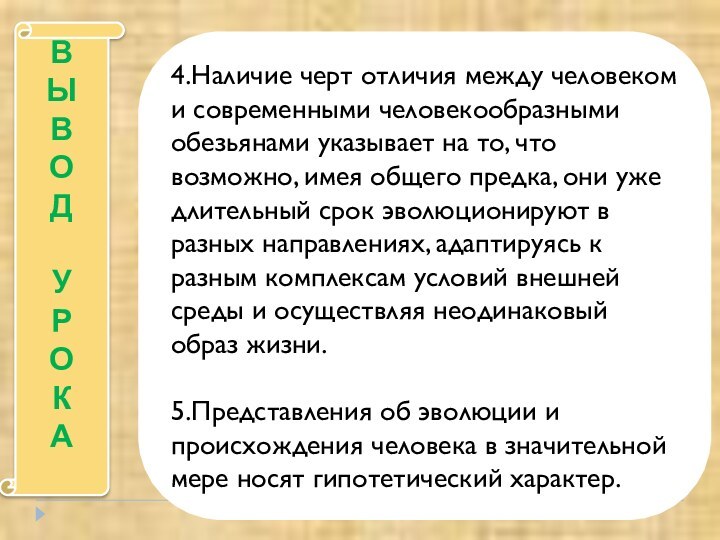 ВЫВОДУРОКА4.Наличие черт отличия между человеком и современными человекообразными обезьянами указывает на то,