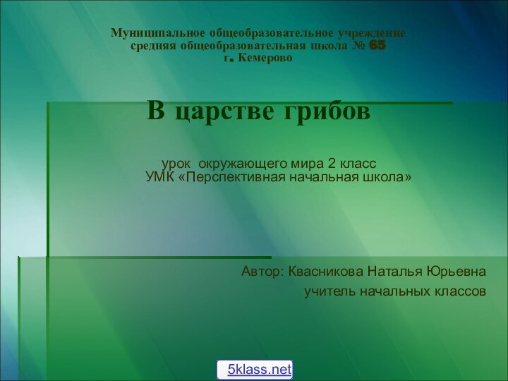 Муниципальное общеобразовательное учреждение средняя общеобразовательная школа № 65 г. Кемерово