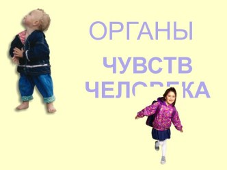 Органы чувств человека