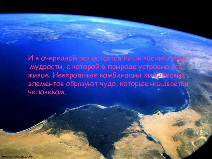 И в очередной раз остается лишь восхититься мудрости, с которой в природе