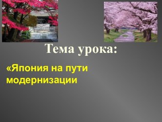 Япония на пути модернизации