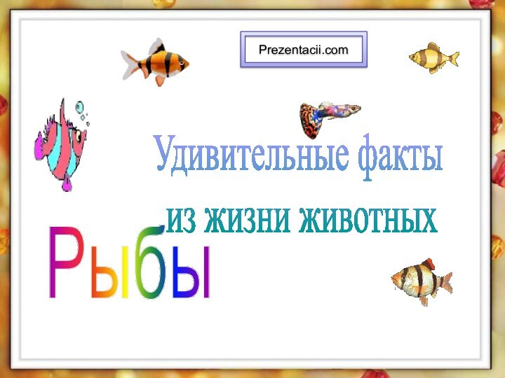 Удивительные факты из жизни животныхРыбыPrezentacii.com