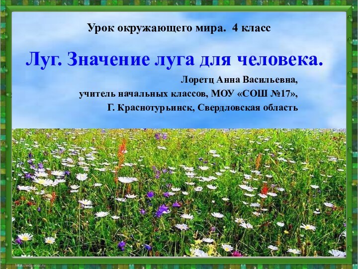 Луг. Значение луга для человека.Лоретц Анна Васильевна,учитель начальных классов, МОУ «СОШ №17»,Г.