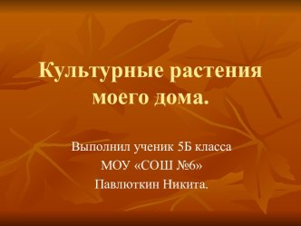 Культурные растения моего дома